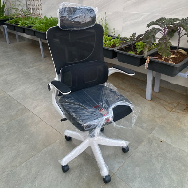 Ghế Công Thái Học Cao Cấp TMS09